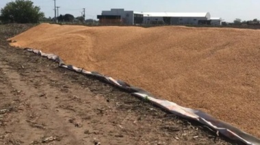 Vandalismo rural: le rompieron 8 silobolsas con maíz y analiza dejar su actividad