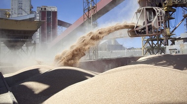 La soja acaricia un nuevo récord: la tonelada superó los 640 dólares