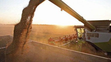 Mientras crecen las importaciones, hay récord de ingreso de dólares del campo