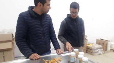 Diputado de T.Lauquen impulsa el fomento a la apicultura en la provincia