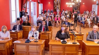 Emergencia económica: la UCR pide a Petrecca "que se ponga de acuerdo"