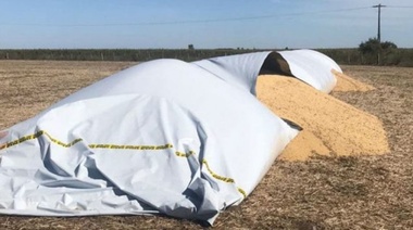 T. Lauquen: rompieron un silobolsa y se llevaron nueve toneladas de soja