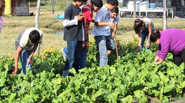 Lanzamiento temporada primavera verano del Programa ProHuerta en la región