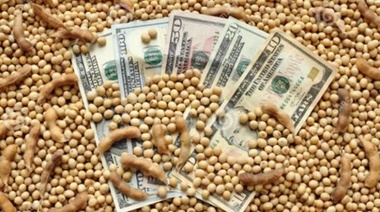 El Gobierno ratificó que el dólar soja termina a fin de septiembre