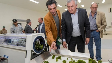 Anmat habilita la primera planta industrial de producción y procesamiento farmacéutico de cannabis medicinal del País