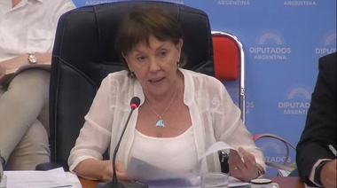 Diputados debatió la creación de 5 universidades nacionales