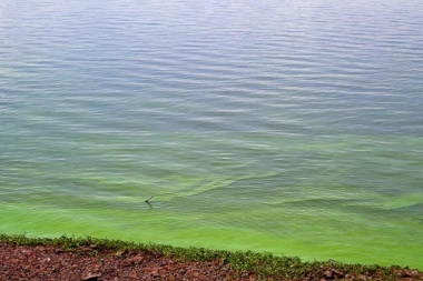Alerta Roja por la presencia de cianobacterias en la Laguna Gómez