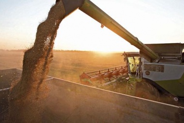 Mientras crecen las importaciones, hay récord de ingreso de dólares del campo