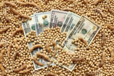 El gobierno festeja el "dólar soja" y el agro habla de "medidas coyunturales"