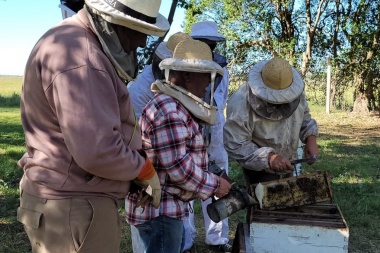 INTA desarrolló un curso para apicultores en General Arenales