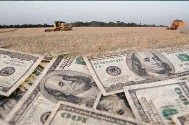 El dólar soja se desinfla: "no beneficia al campo", aclaran desde Junín