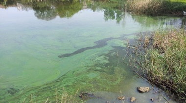 Profundizan controles en los cuerpos de agua bonaerenses