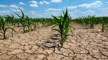 Junín, Chivilcoy y Pehuajó los que más préstamos recibieron del Banco Provincia