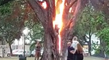 Un rayó afectó el funcionamiento de pozos de agua en Alberti y otro quemó un árbol en Lincoln