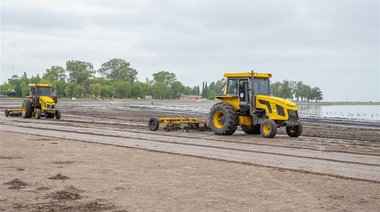 Se llevó a cabo la recolección y limpieza de peces muertos por la sequía