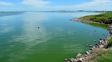 Tres lagunas de la Cuarta en alerta amarilla por cianobacterias