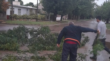 Voladura de techos en Chacabuco y árboles caídos en Junín, consecuencias de la tormenta
