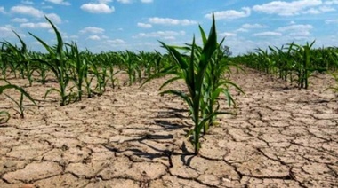 Llaman a productores a realizar declaraciones juradas por sequía
