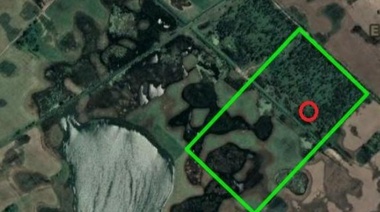 Municipio y Provincia avanzan en políticas ambientales para 9 de Julio