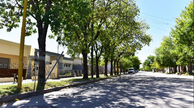 FR apuntó a un "preocupante déficit" en el arbolado público