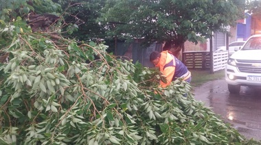 El temporal que azotó la provincia se sintió con fuerza en Junín
