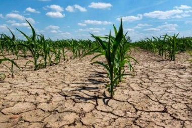 Llaman a productores a realizar declaraciones juradas por sequía