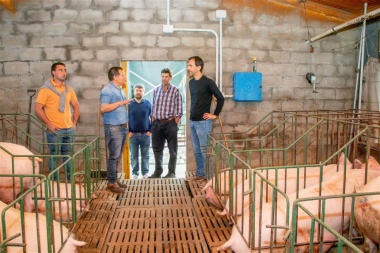 En Junín eximirán de tasas municipales al sector porcino