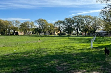Trabajan en el loteo de la localidad de La Angelita para incorporar al Plan Municipal de Tierras