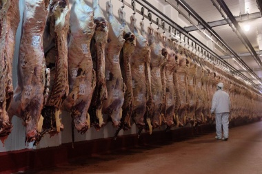 Exportaciones de carne vacuna cerrarán 2023 con merma de 28% interanual