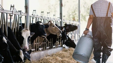 La producción nacional de leche cayó 2% en 2023
