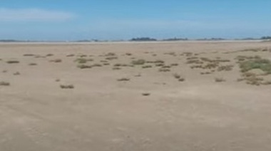 Video viral: la Laguna de Gómez parece un desierto
