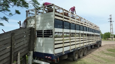 Productores de Leandro N. Alem irían a la justicia contra el aumento de tasas