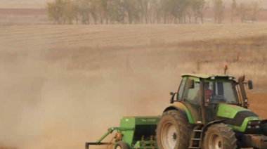En 9 de Julio prevén grandes pérdidas por la sequía y la ola de calor de enero