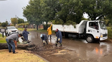 Fuertes tormentas provocaron inconvenientes en Trenque Lauquen y Ameghino