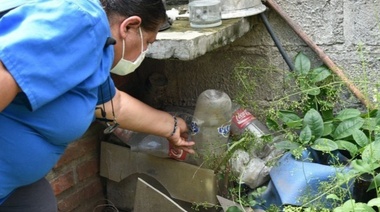 Dengue: Provincia adelantó que marzo y abril serán "los peores meses"