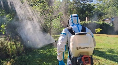 Con pedidos desde la cuarta se instala en la Legislatura la epidemia del dengue