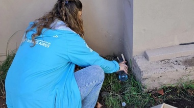 En Alberti colocan ovitrampas en una guerra total contra el dengue