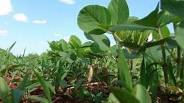 Inmobiliario rural: el reclamo del campo llega hasta Kicillof