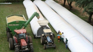 Venta de soja y maíz muestran un retraso histórico