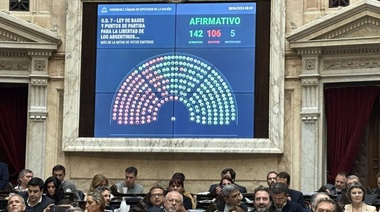 Aprueban el proyecto general y avalan privatizaciones, reforma laboral y facultades delegadas