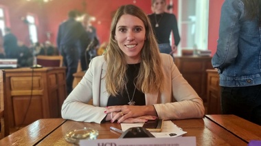 Para Bozzano, sería "un retroceso importante" la Ley Bases