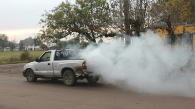 Refuerzan las tareas de fumigación para controlar los mosquitos