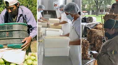 Federación Agraria Junín castigó por la "nula visión productivista" del gobierno