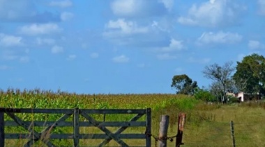 Piden a Arba por el proyecto para revertir subas impositivas al campo