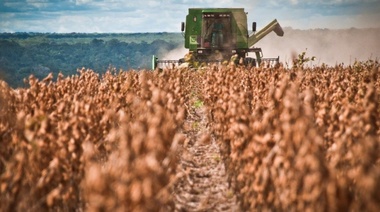 Gobierno espera que acelere liquidación de divisas por cosecha de soja