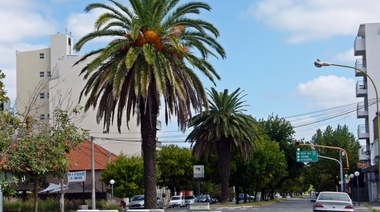 Realizaron un nuevo foro por el presupuesto participativo en Trenque Lauquen