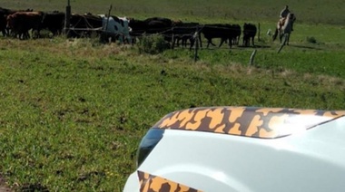 Buscan crear unidades fiscales especializadas en delito rural