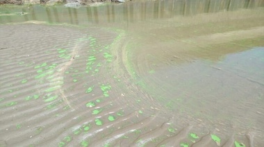 Alerta sanitaria por cianobacterias en ocho municipios bonaerenses
