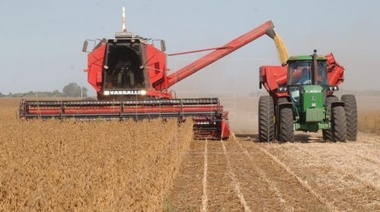 La cosecha de soja superó los 50,5 millones de toneladas, más del doble que el año pasado