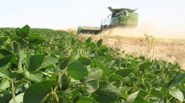 El agro no comercializa la soja y el gobierno desespera